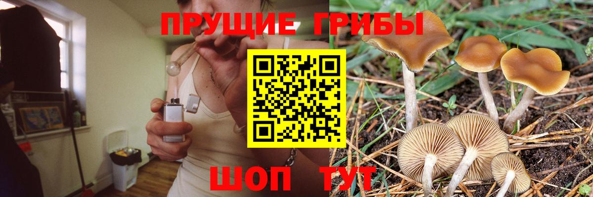 Сочи  Галлюциногенные грибы GOLDEN TEACHER  Вход с VPN 