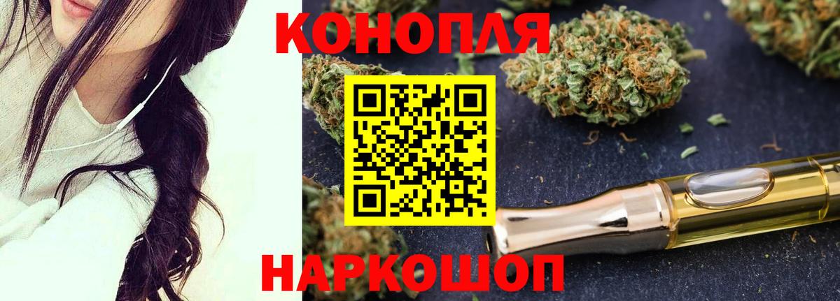 Шишки марихуана план  Марихуана тримм  Вход с VPN  Канабис планчик  Сочи 